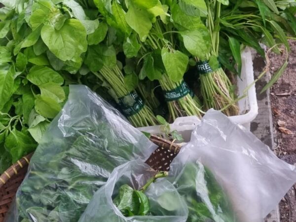 Penggerak Buruan SAE RW 11, Antapani Kidul
