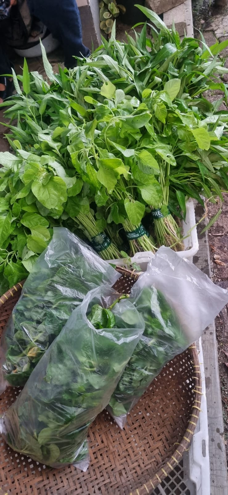 Penggerak Buruan SAE RW 11, Antapani Kidul