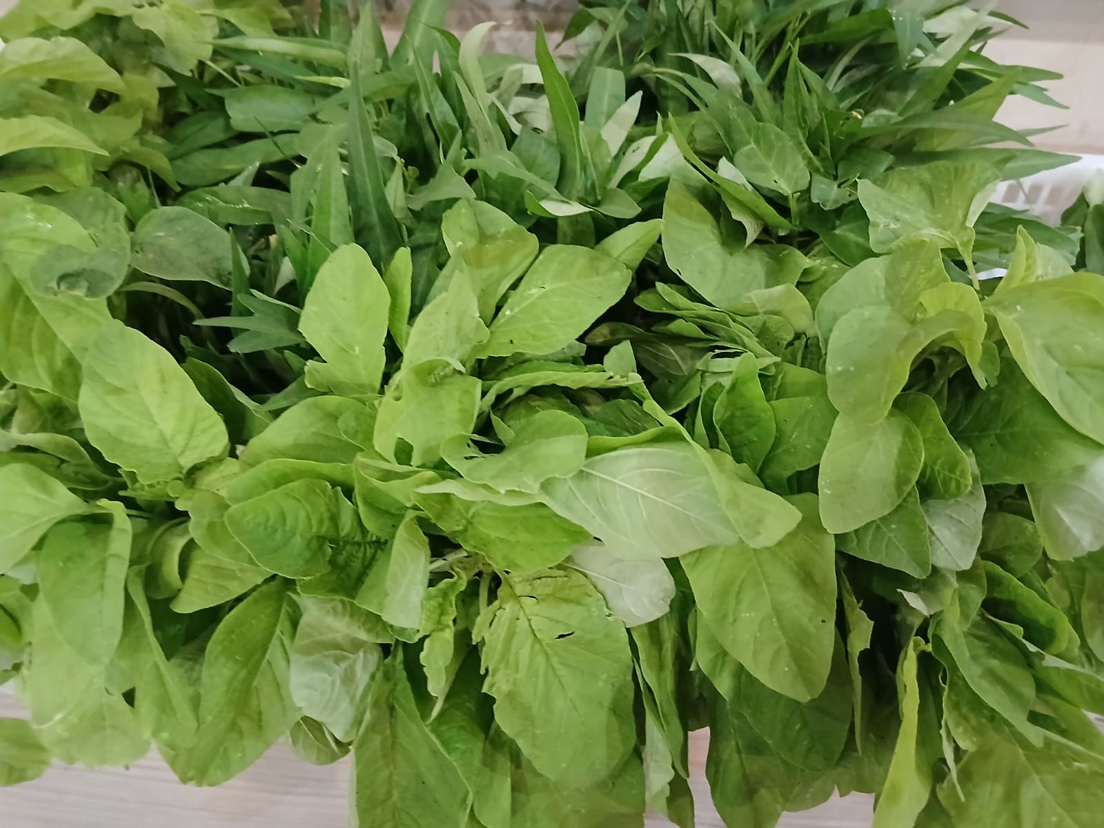 Jum'at Berkah, Babagi Buruan SAE Masjid