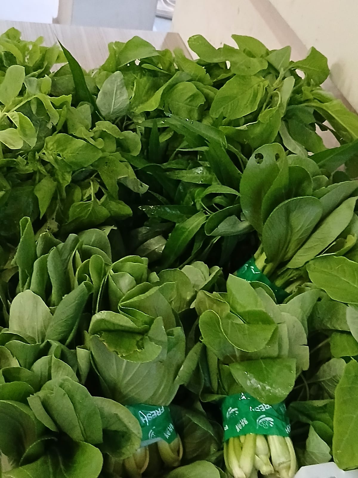 Mengenal Buruan SAE, Geulis RW 11 @Ankid